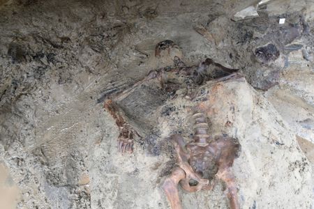 Researchers found the remains of a man in his mid-40s&nbsp;at Herculaneum, a Roman town near&nbsp;Pompeii.