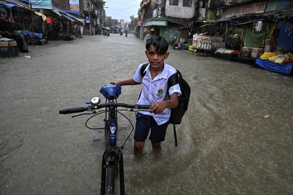 The Boy Coming Back from School thumbnail