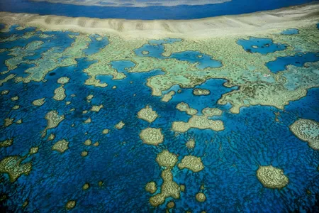 Just around the corner from the Great Barrier Reef, the ocean has been hiding a massive, ancient landslide.