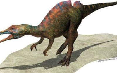 A restoration of Ichthyovenator by Michel Fontaine