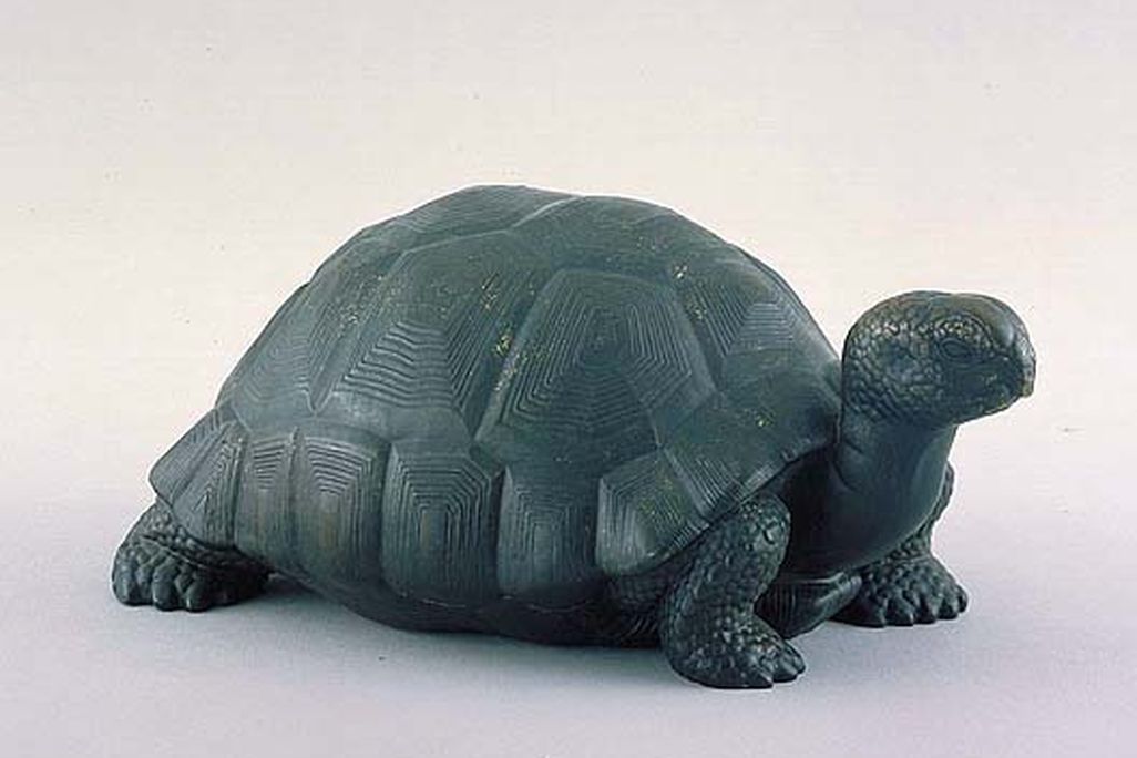 manship_tortoise_AAM_oct16.jpg