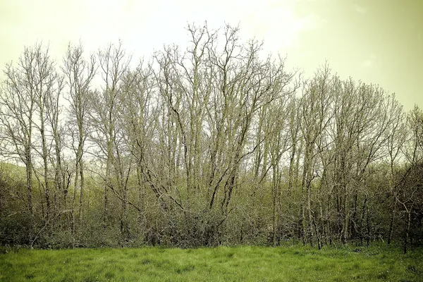 The winter is finishing thumbnail