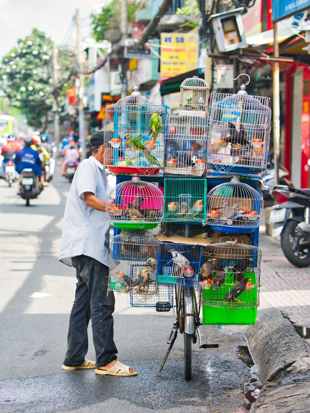 mobile bike shop