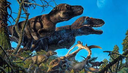 The Top Ten Dinosaur Discoveries of 2021