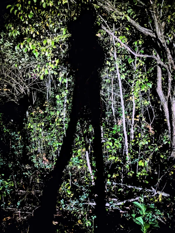 Witchcraft thumbnail