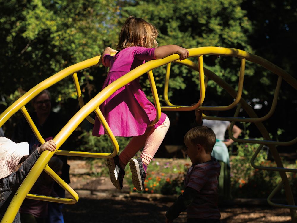 How To Set Up Monkey Bars In Your Backyard