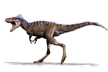 Moros was probably about 170 pounds, or roughly the size or a deer.