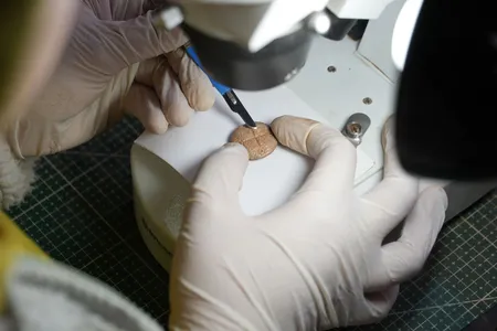 The tokens are roughly the size of a half-dollar coin and feature markings etched into their surfaces.