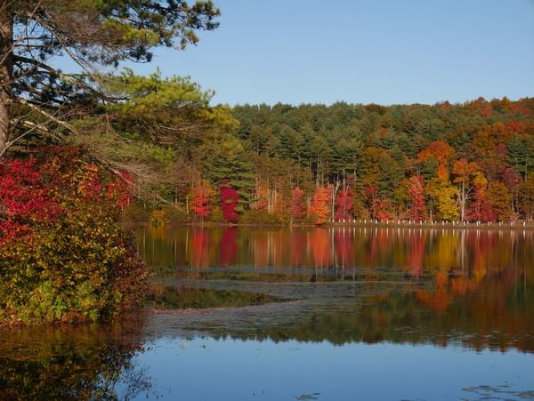 Fall in Ashley Reservoir thumbnail