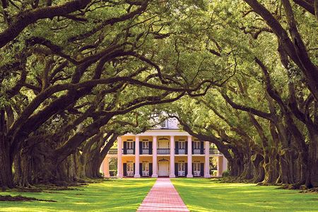 Stroll from the river to the mansion beneath perfectly aligned rows of live oak trees.