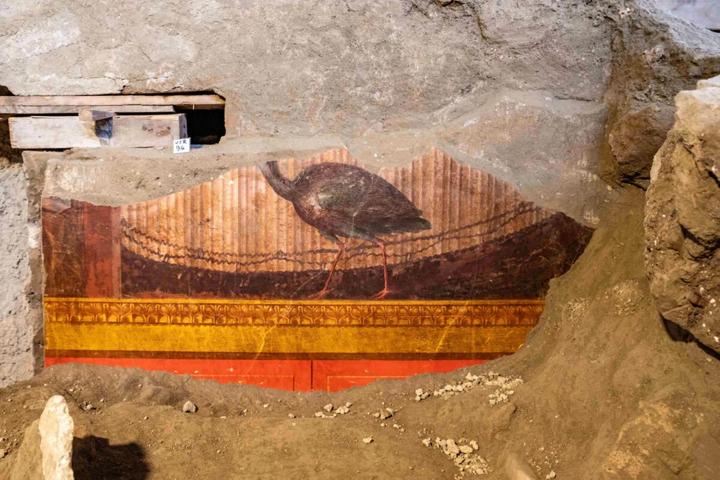 A fresco depicting part of a peahen