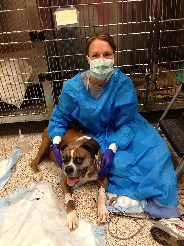 Veterinarian With Dog With Cancer