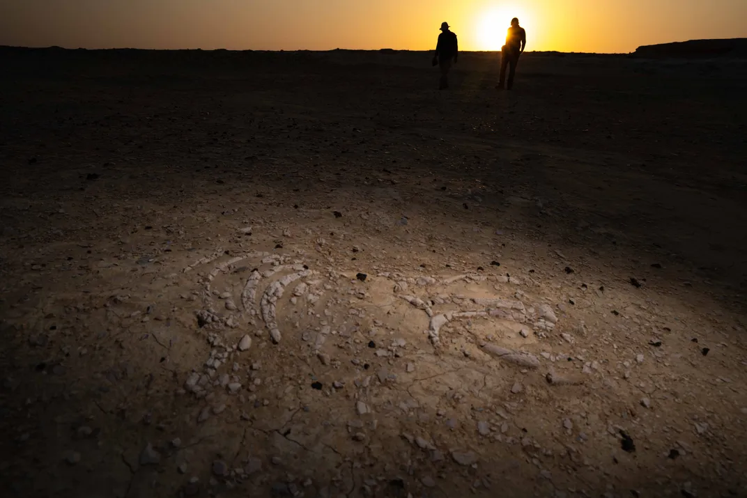 sunset at the fossil site
