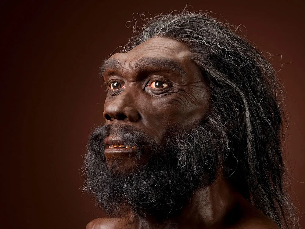 Homo heidelbergensis