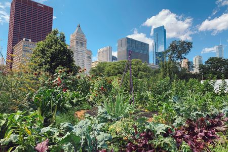 An urban skyline appears in the background with lush plants growing in the foreground