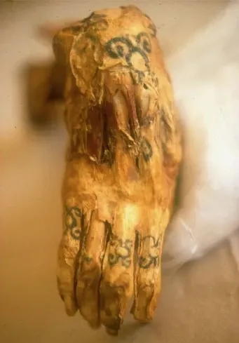 Chiribaya Mummy's Hand