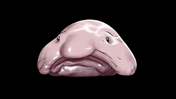 Preview thumbnail for Don't Call the Blobfish Ugly