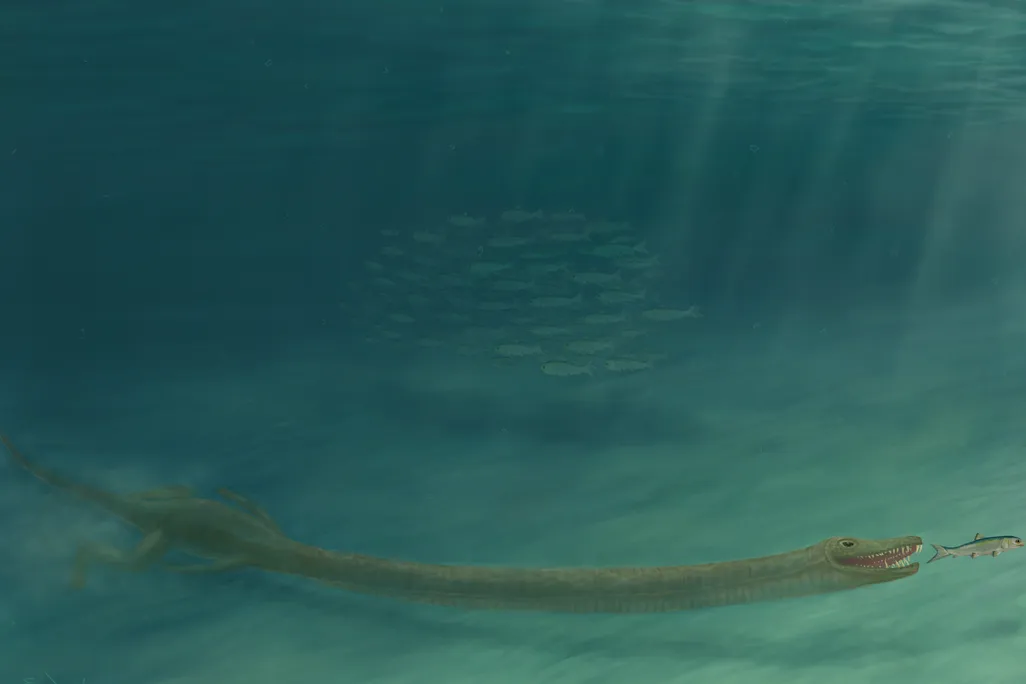 Tanystropheus hydroides hunting