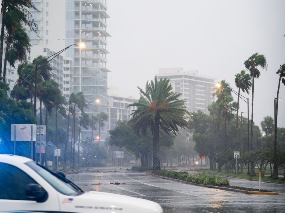 Trees blow in the wind and rain in Sarasota, Florida, as Hurricane Ian nears.
