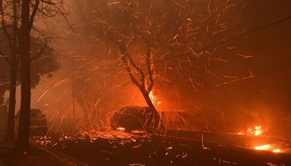How A.I. Can Help Humans Battle Wildfires, From Advanced Camera Systems to Forecasting Models