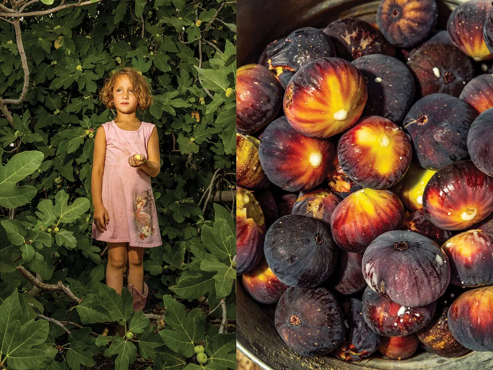 diptych of a child in a tree and then a bowl of figs