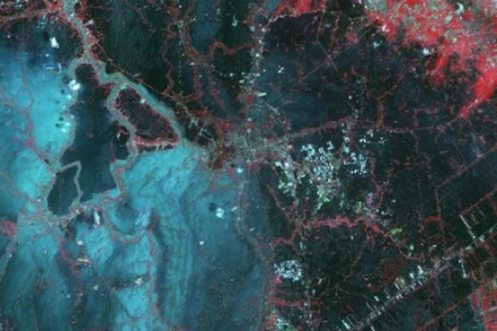 A false-color image of flooding in Bangkok, Thailand