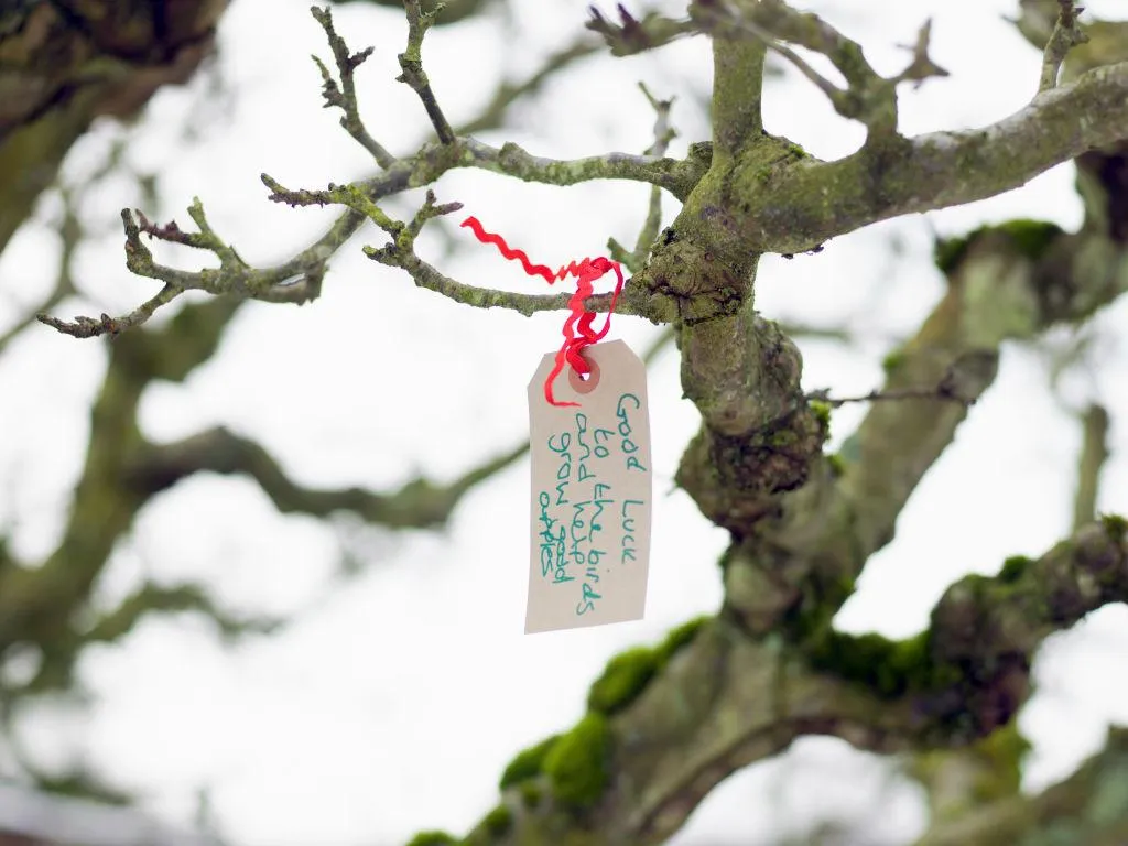 New York's Cideries Bring the Tradition of Wassailing to the Finger Lakes