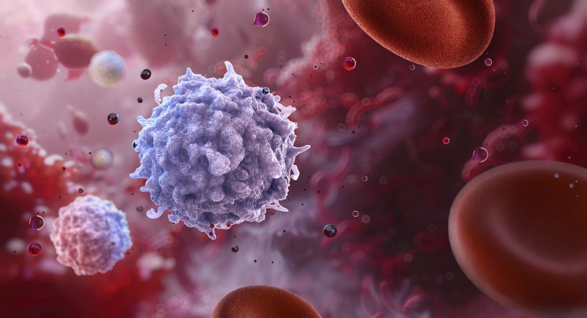 You've Been Told to ‘Feed a Cold.' Turns Out, Eating May Truly Boost Your Immune System Cells, According to a New Study