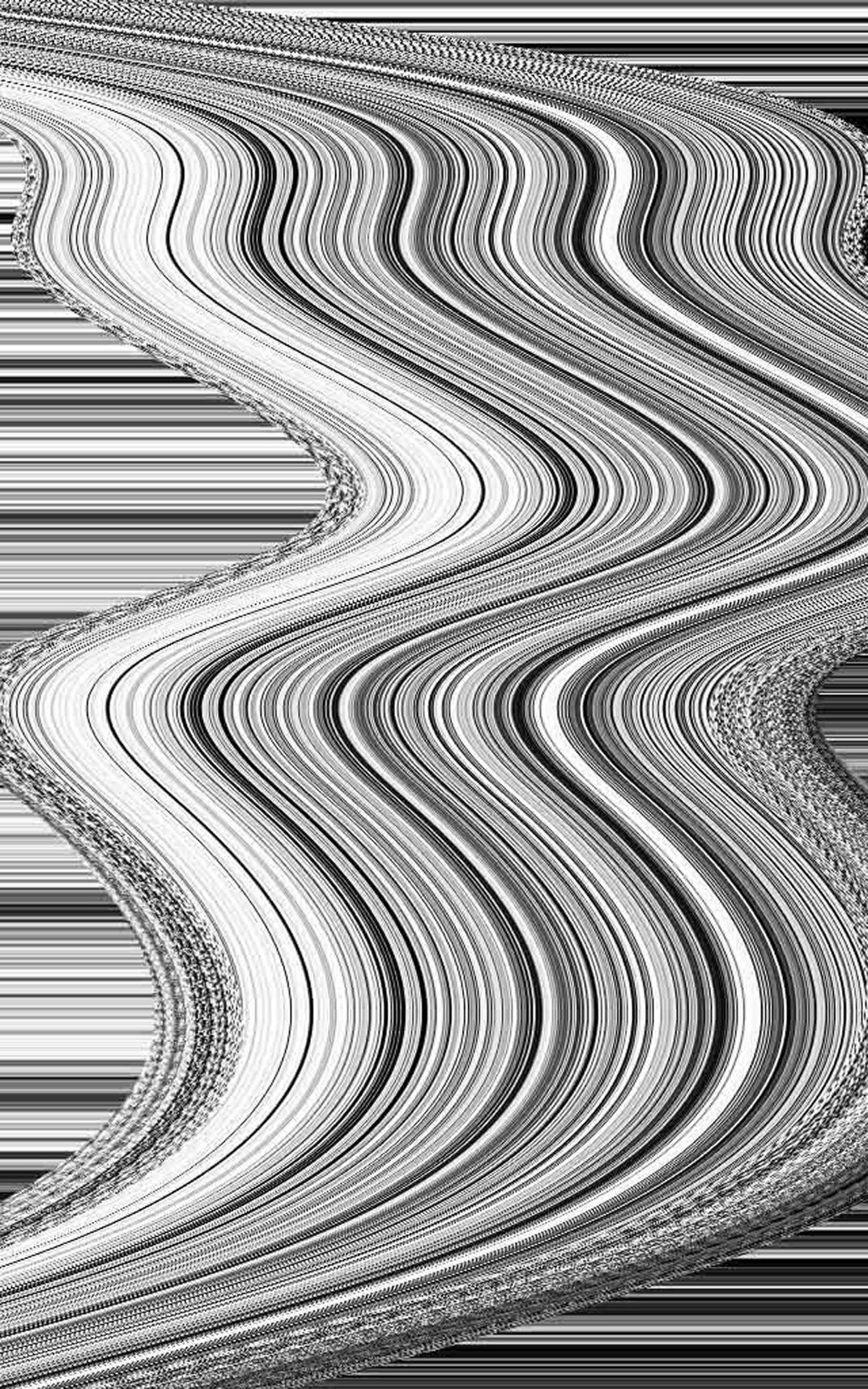 Experimenting with contrast. | Smithsonian Photo Contest | Smithsonian ...