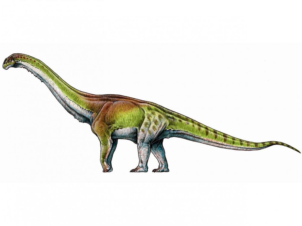 patagotitan.jpg