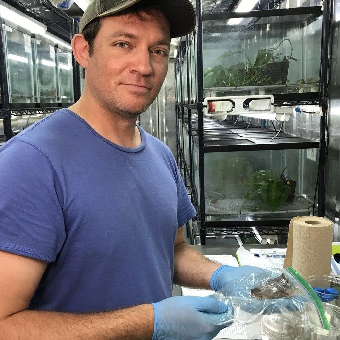 dr-luke-linhoff-collecting-mucus-from-a-frog-at-the-panama-amphibian-rescue-and-conservation-project_50617355846_o.jpg