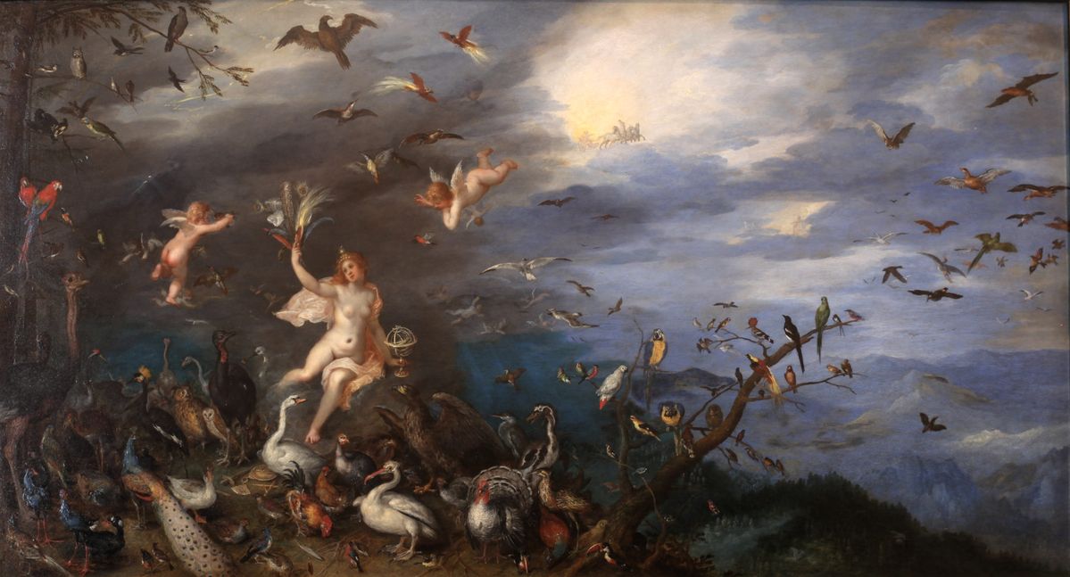 Photograph accompanying Brueghel painted a bird-eating bat four centuries before the field documented it