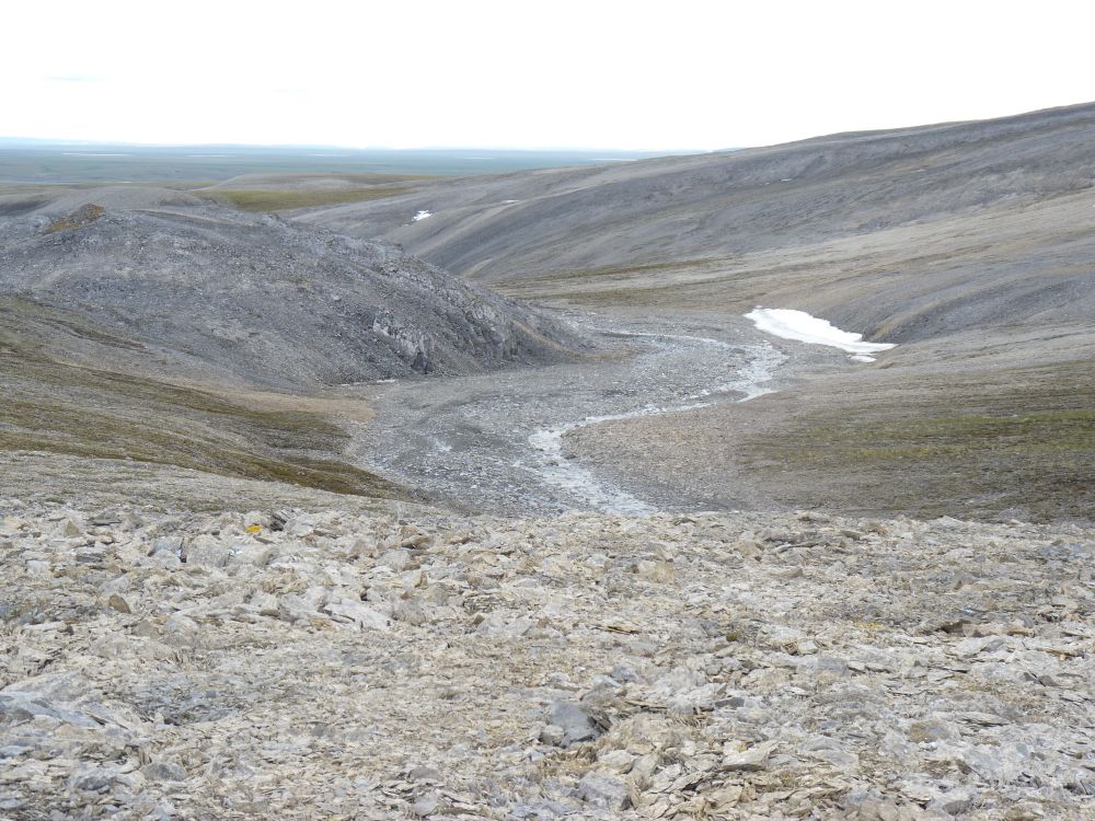 Limestone outcrop on the Taymyr Peninsula in North Siberia