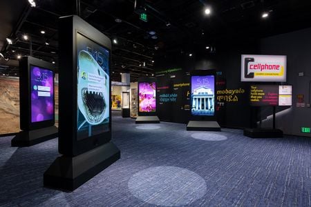 &quot;Cellphone: Unseen Connections&quot; at the Smithsonian&#39;s National Museum of Natural History walks through every aspect of the technology.