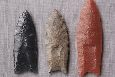 More than 10,000 Clovis points have been discovered in North America, but researchers still aren't sure how early humans used them.