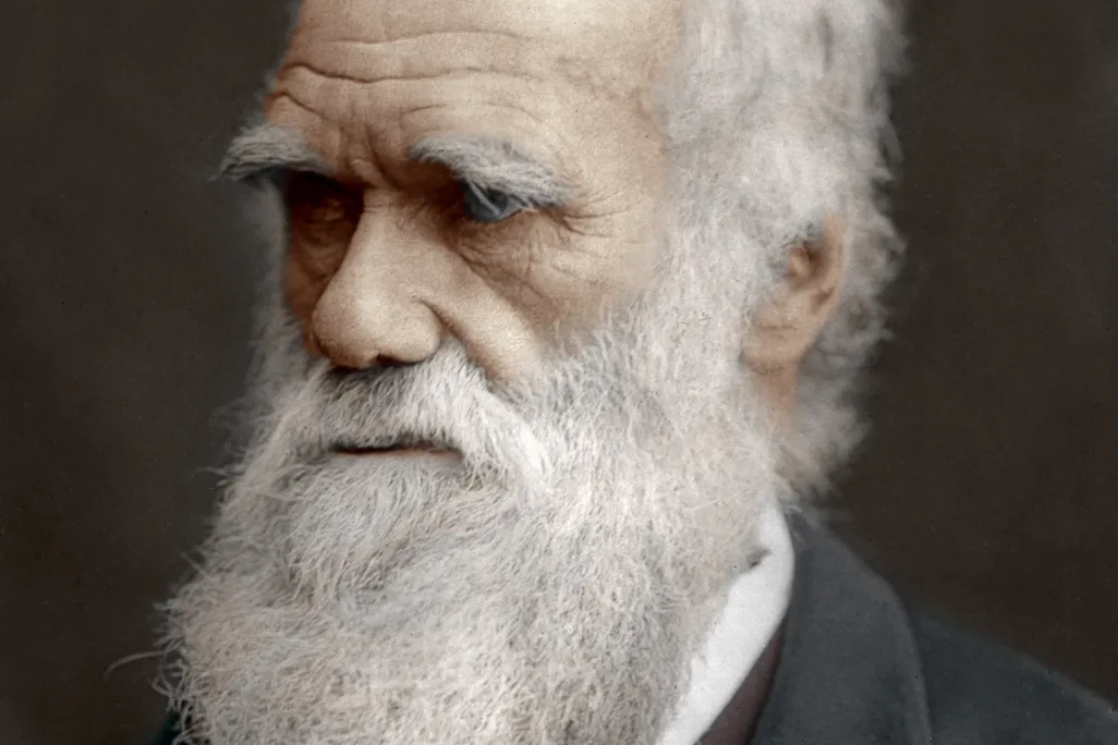 05_15_2014_darwin.jpg