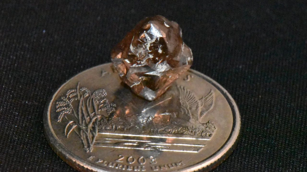 carinediamond02.jpg