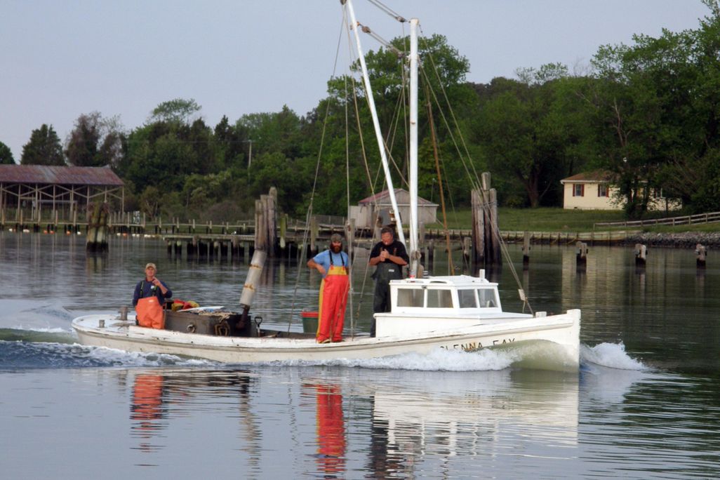 Fishing boats