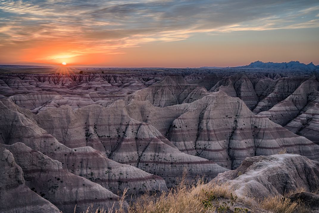 Discover South Dakota’s Wild Side