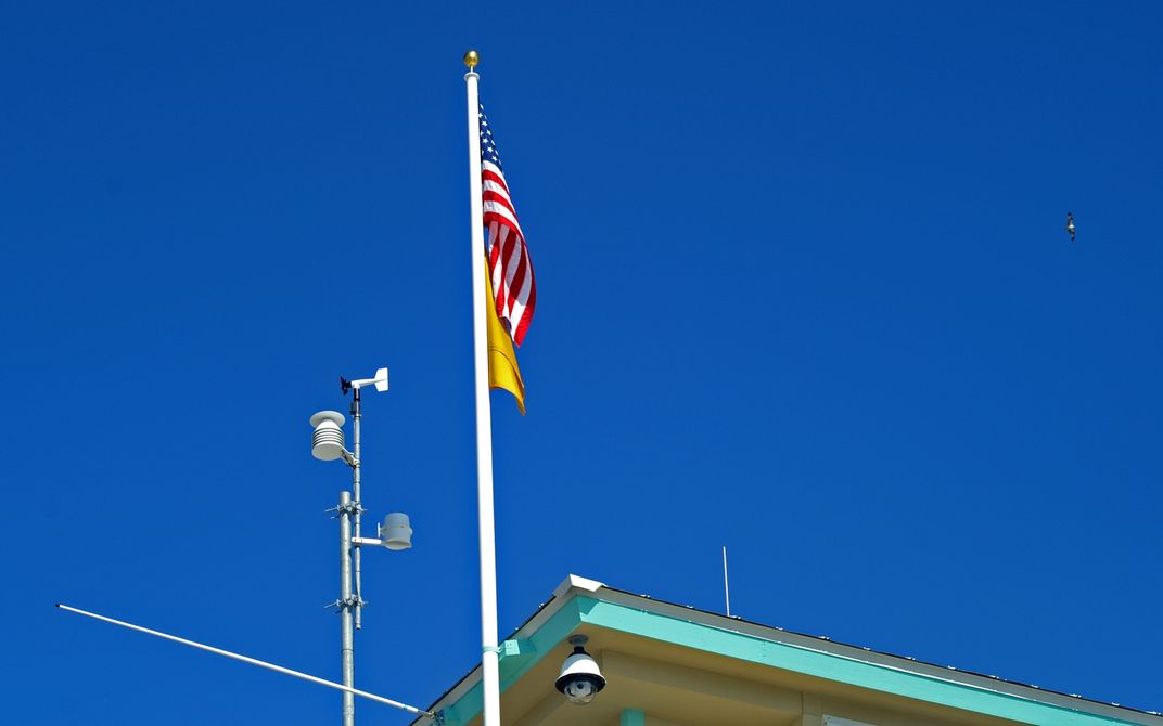 Yellow Flag Day Smithsonian Photo Contest Smithsonian Magazine