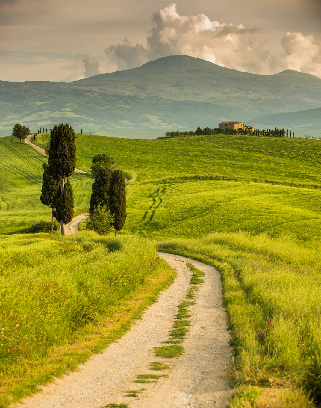 Tuscan landscape