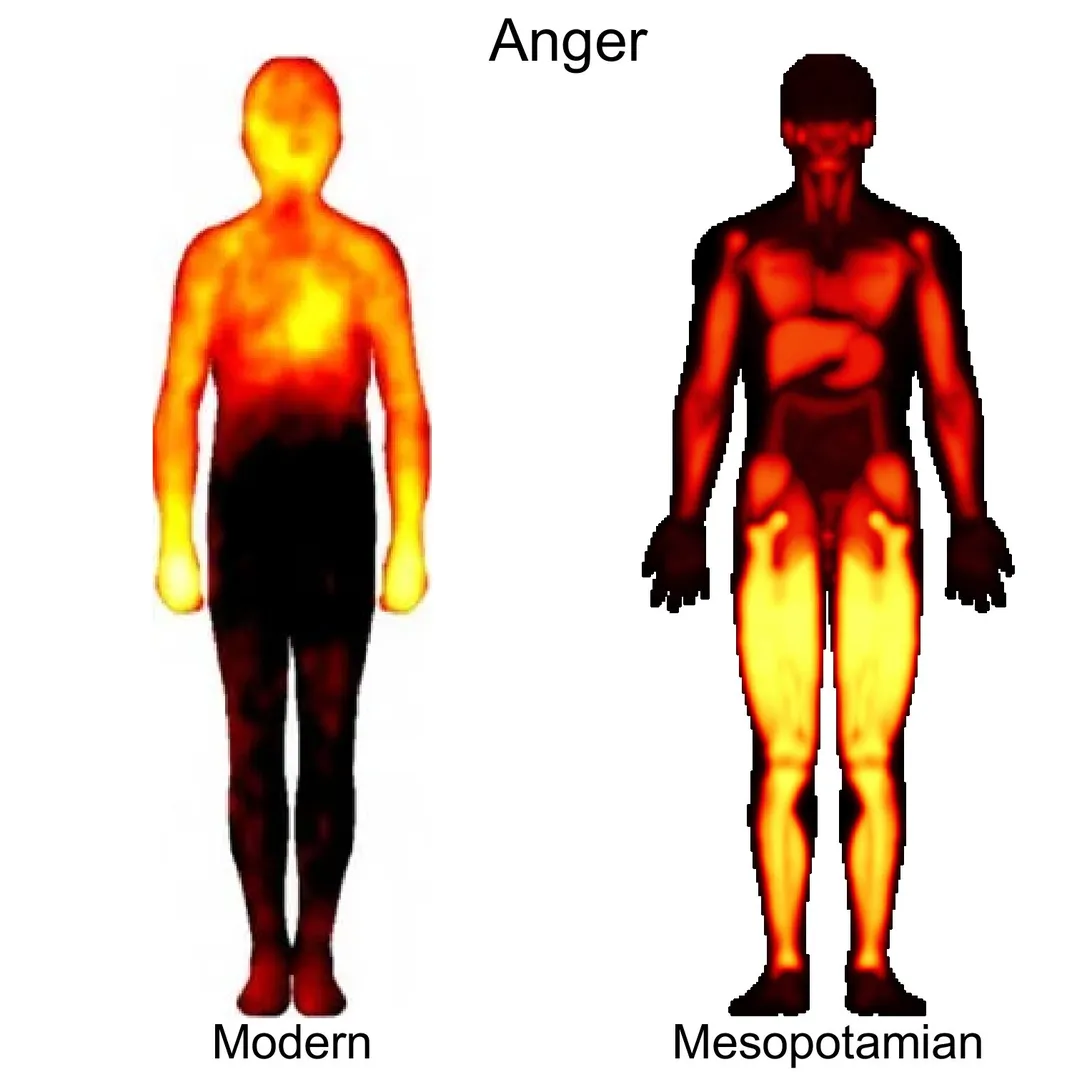 anger comparison