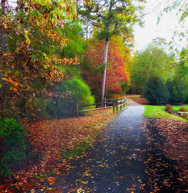 Autumn Stroll thumbnail