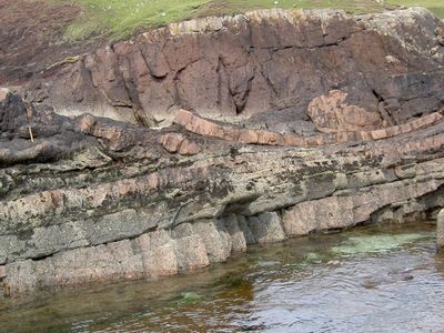 A field photo showing the impact deposit containing deformed pink sandstone.