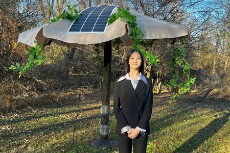 ArTreeficial is a solar-powered, self-cleaning, artificial-intelligence-driven &ldquo;tree&rdquo; that entices the spotted lanternfly and eliminates the bug using an electronic mesh.