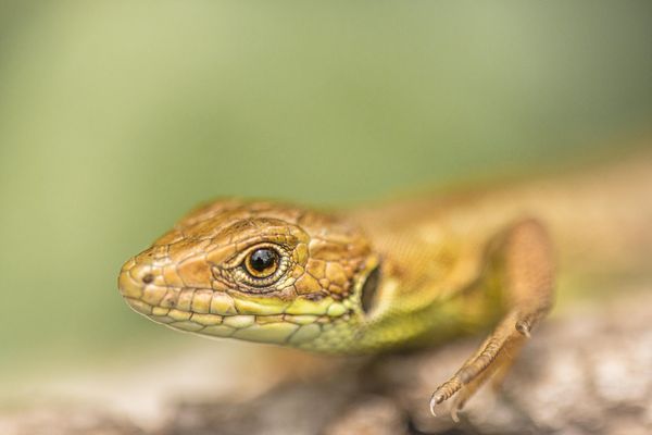 I see you. I see you too. thumbnail