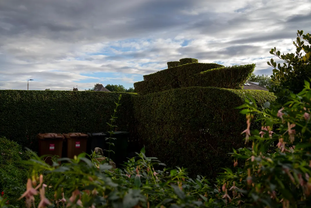 Ocean liner hedge