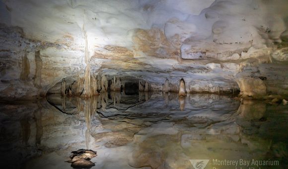 Staring into the mouth of flooded cave passages on the islands of the Turks and Caicos. Hidden cave pools are illuminated by dive lights and photo flash. (Joost Daniels, Monterey Bay Aquarium Research Institute) 