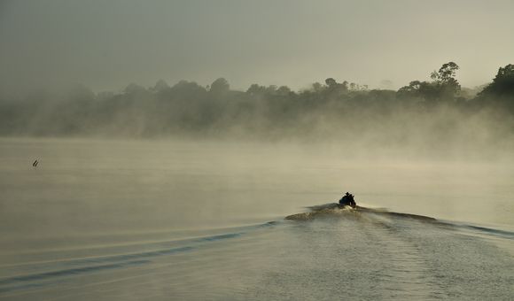 C. David de Santana and his team exploring the Javari River on the border of Brazil and Peru on a misty morning. (Douglas Bastos)