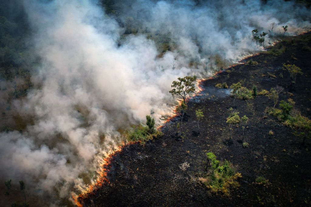 Aerial view of wildfire burning with white smoke in the forest